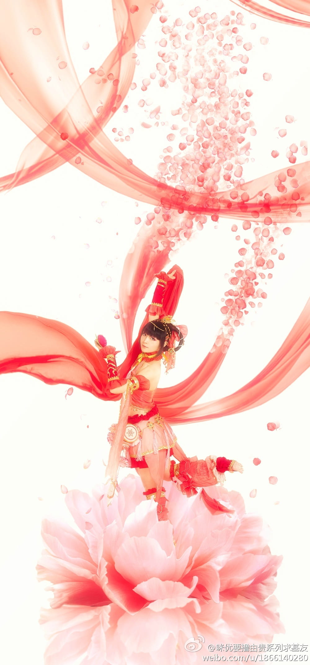 【COS】剑叁cos#七（牡）秀（丹）萝（仙）莉（子