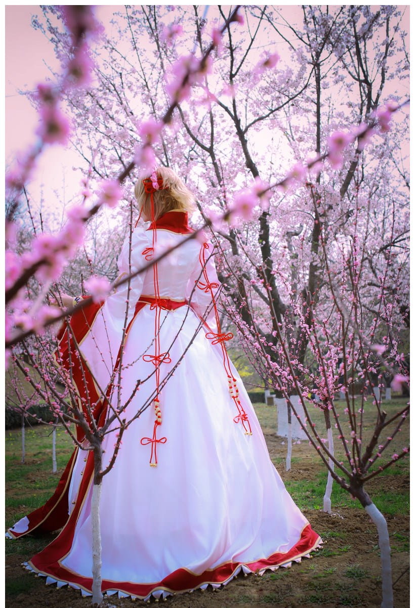 【COS】翼年代记-樱