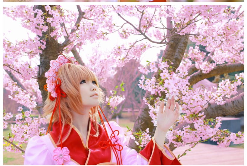 【COS】翼年代记-樱