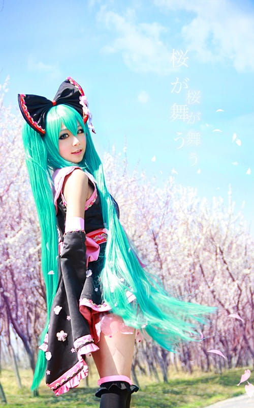 【COS】MIKU-樱花飞舞