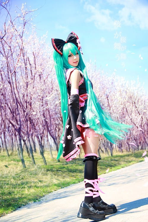 【COS】MIKU-樱花飞舞