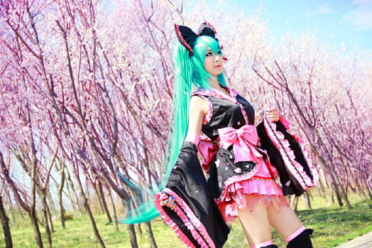 【COS】MIKU-樱花飞舞