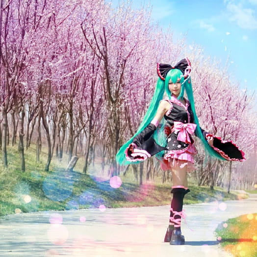 【COS】MIKU-樱花飞舞