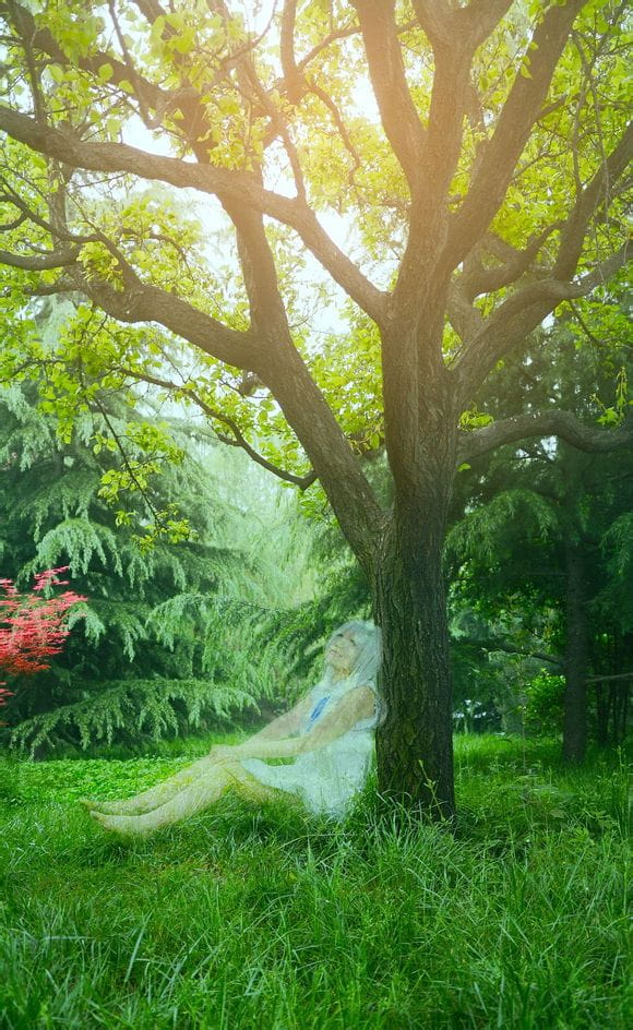 【COS】我们仍未知道我们那天所看见的花的名字