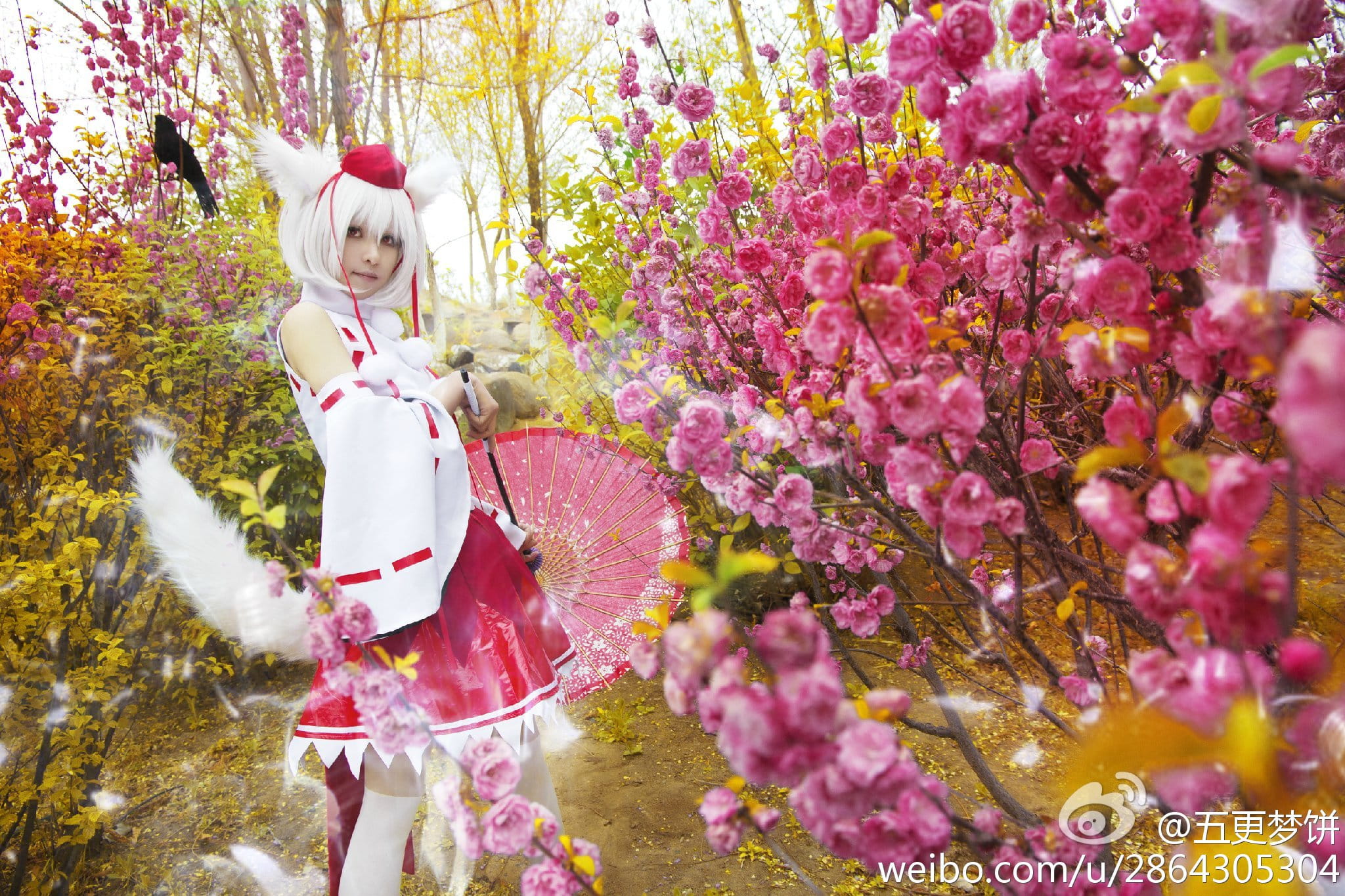 【COS】东方风神录=== 犬走椛