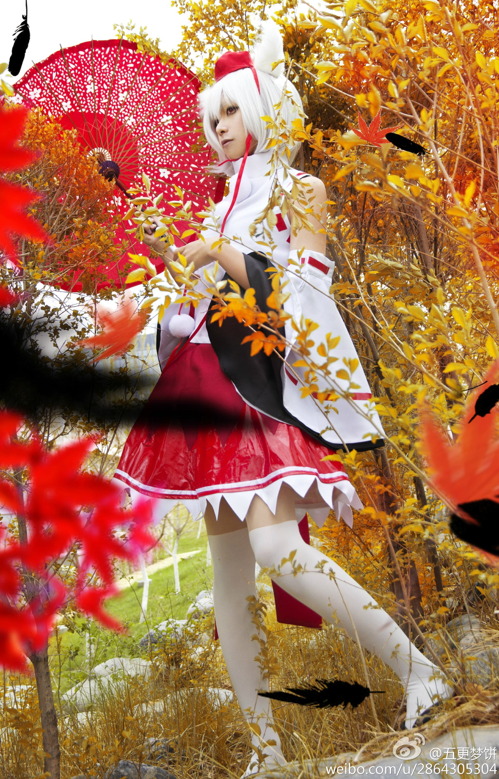 【COS】东方风神录=== 犬走椛