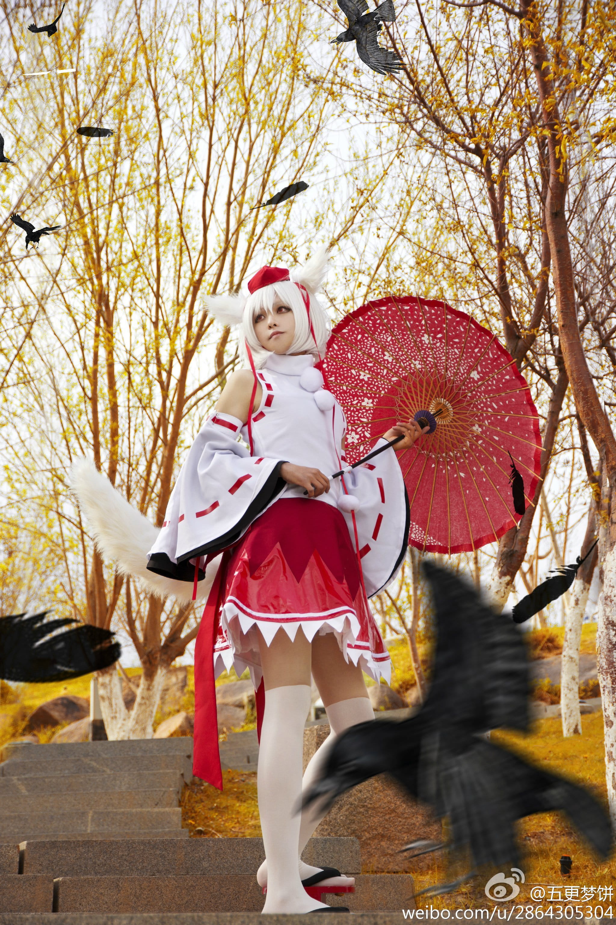 【COS】东方风神录=== 犬走椛