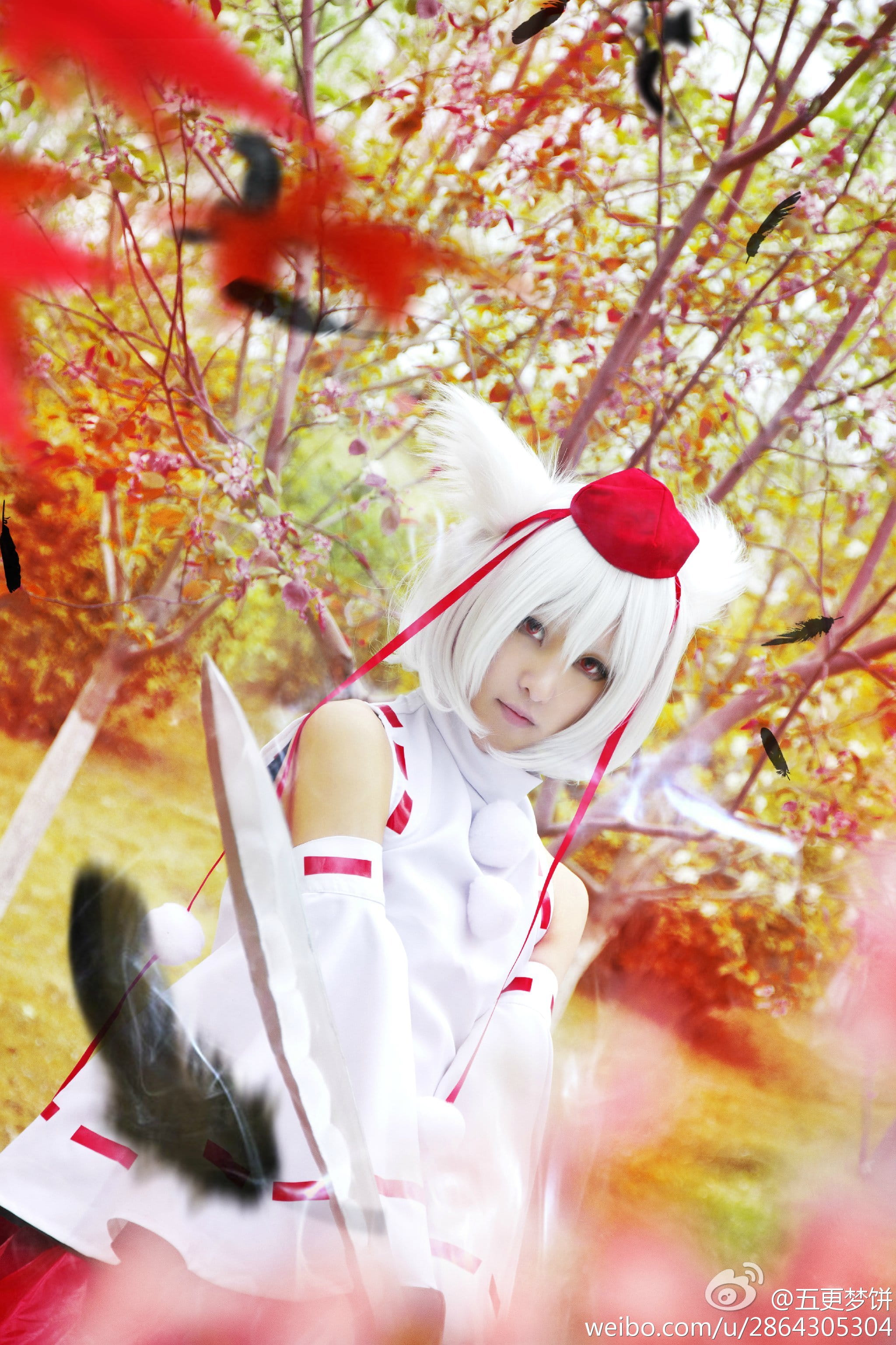 【COS】东方风神录=== 犬走椛