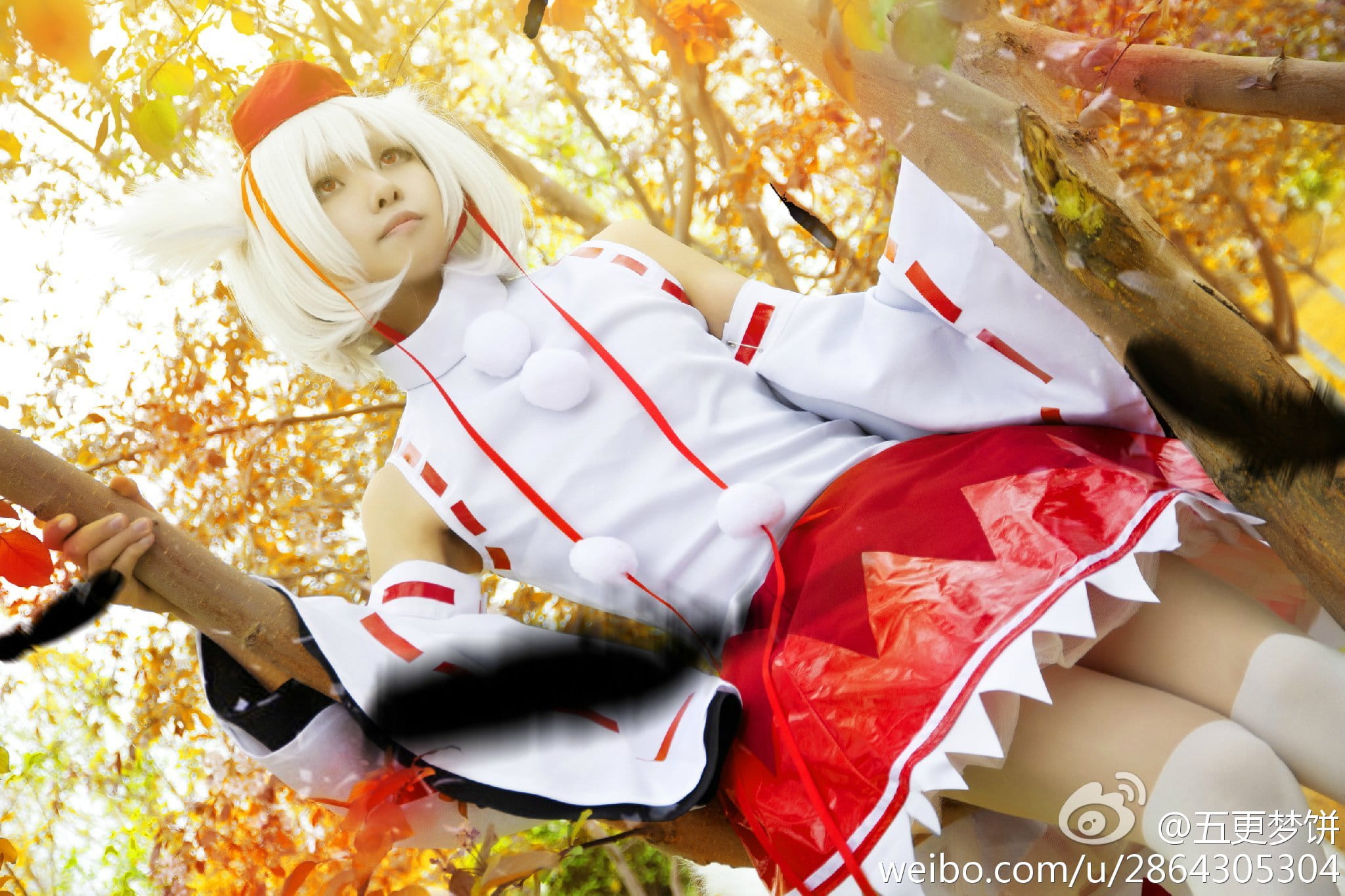 【COS】东方风神录=== 犬走椛