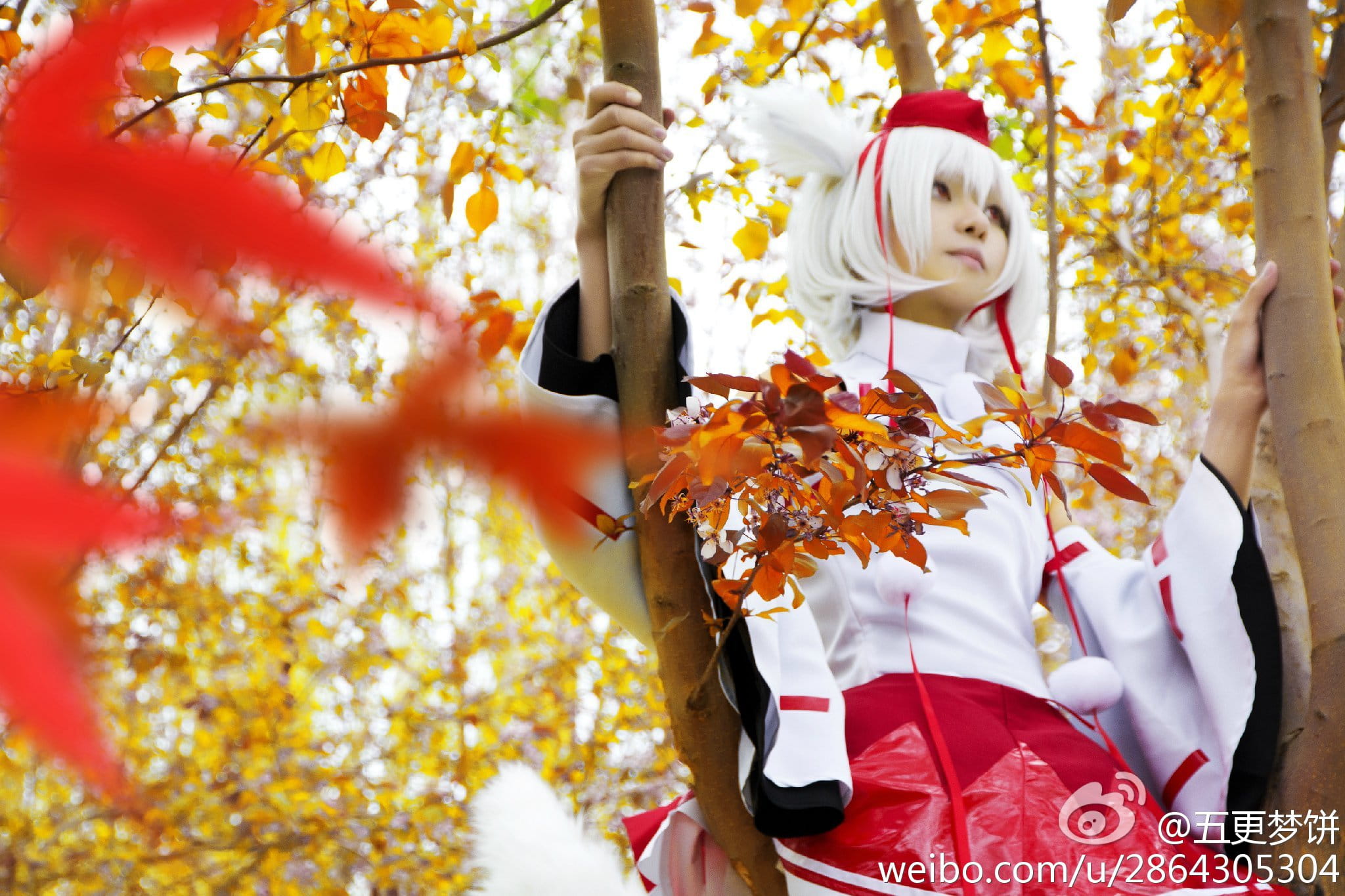 【COS】东方风神录=== 犬走椛