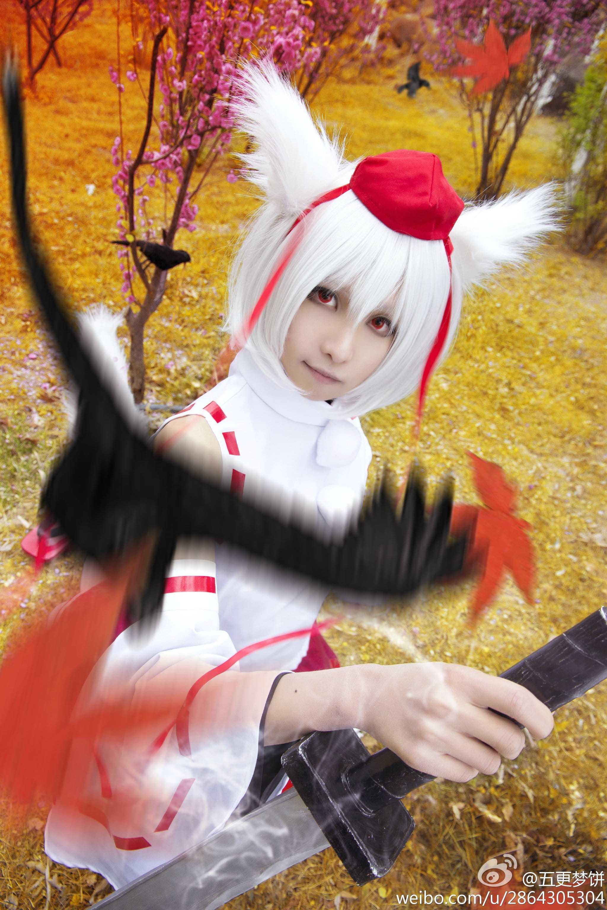 【COS】东方风神录=== 犬走椛