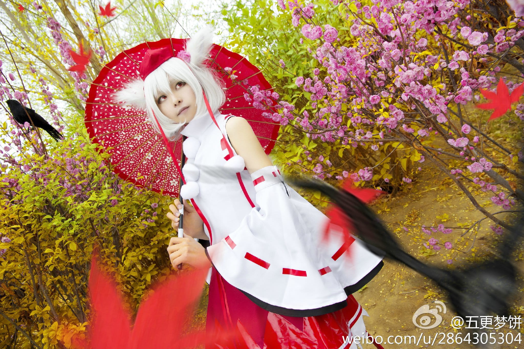 【COS】东方风神录=== 犬走椛