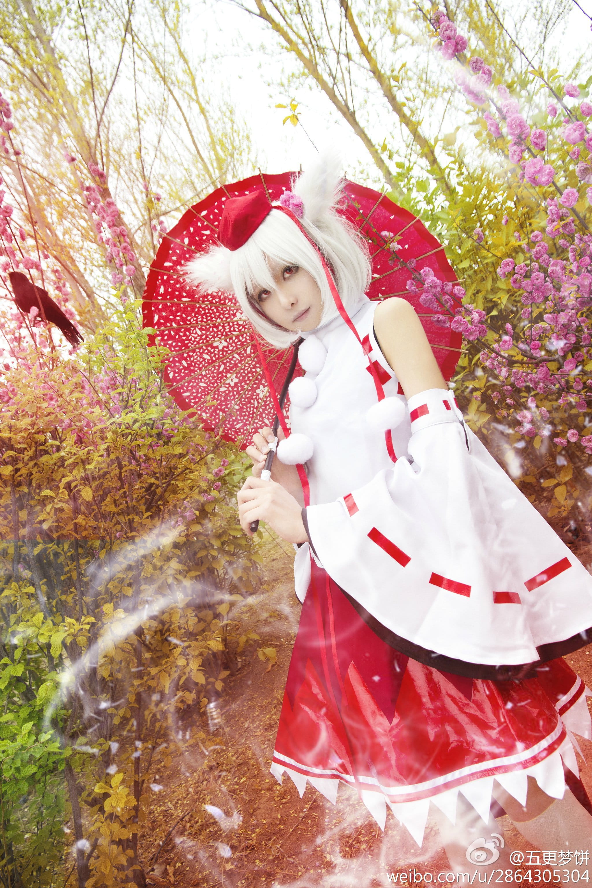 【COS】东方风神录=== 犬走椛