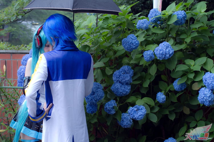 【COS】初音ミク 系列图------福利后方w