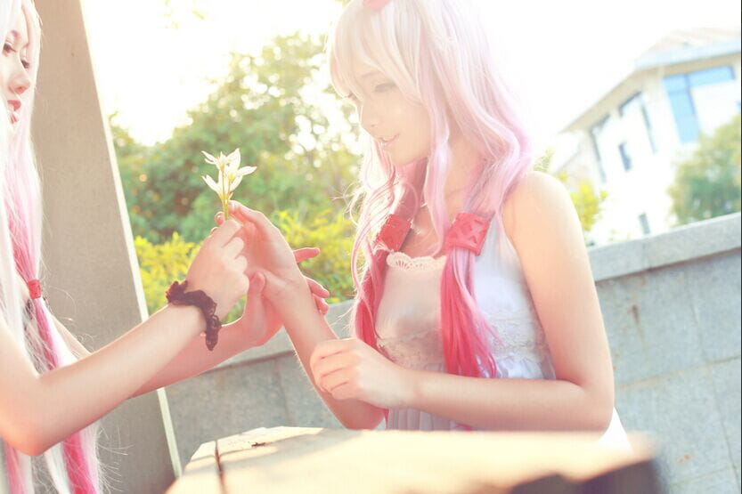 【授权cos】罪恶王冠 楪祈&真名