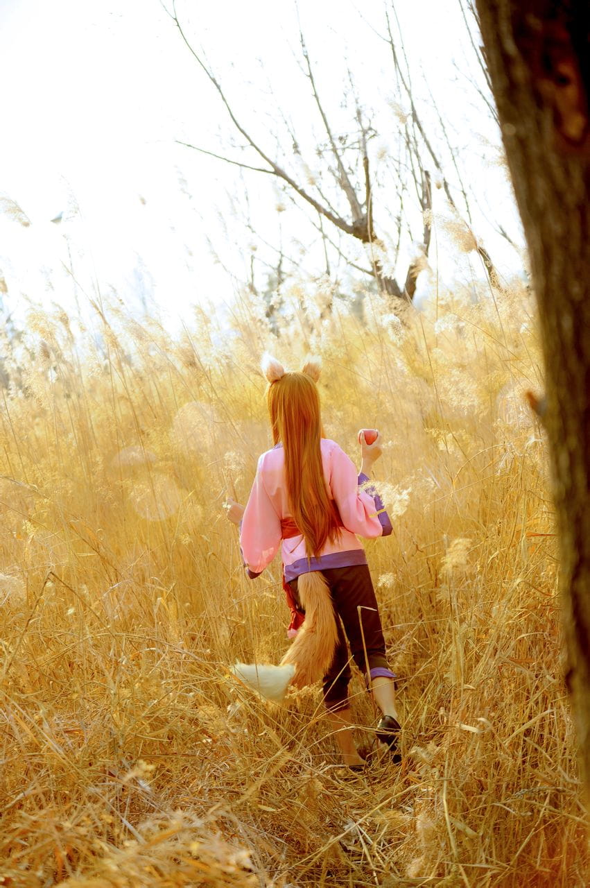 狼与香辛料 赫萝cos