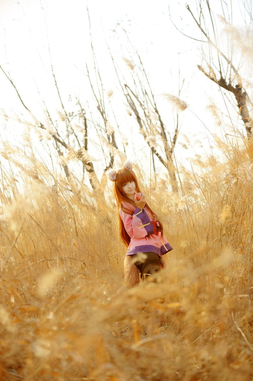 狼与香辛料 赫萝cos