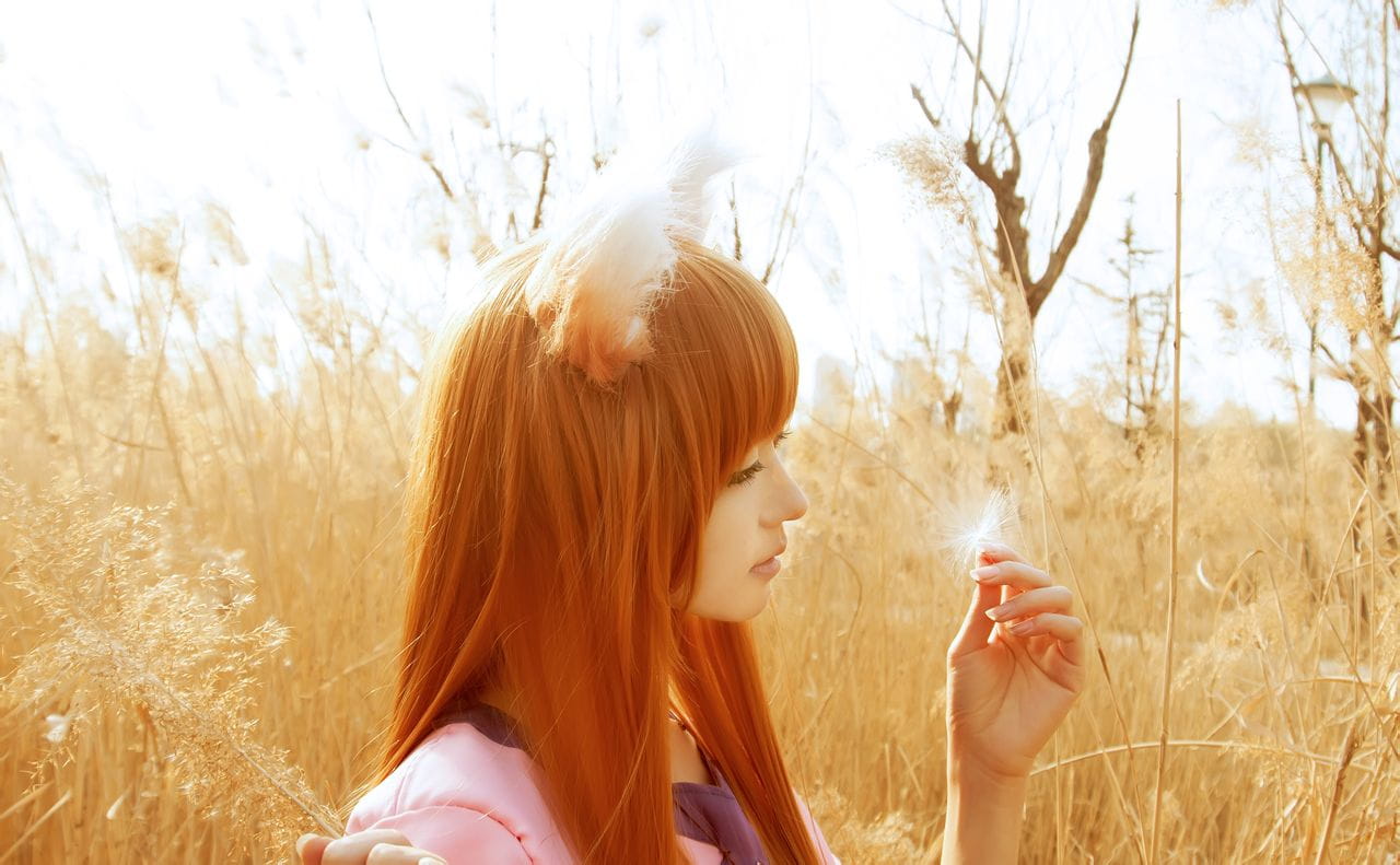 狼与香辛料 赫萝cos