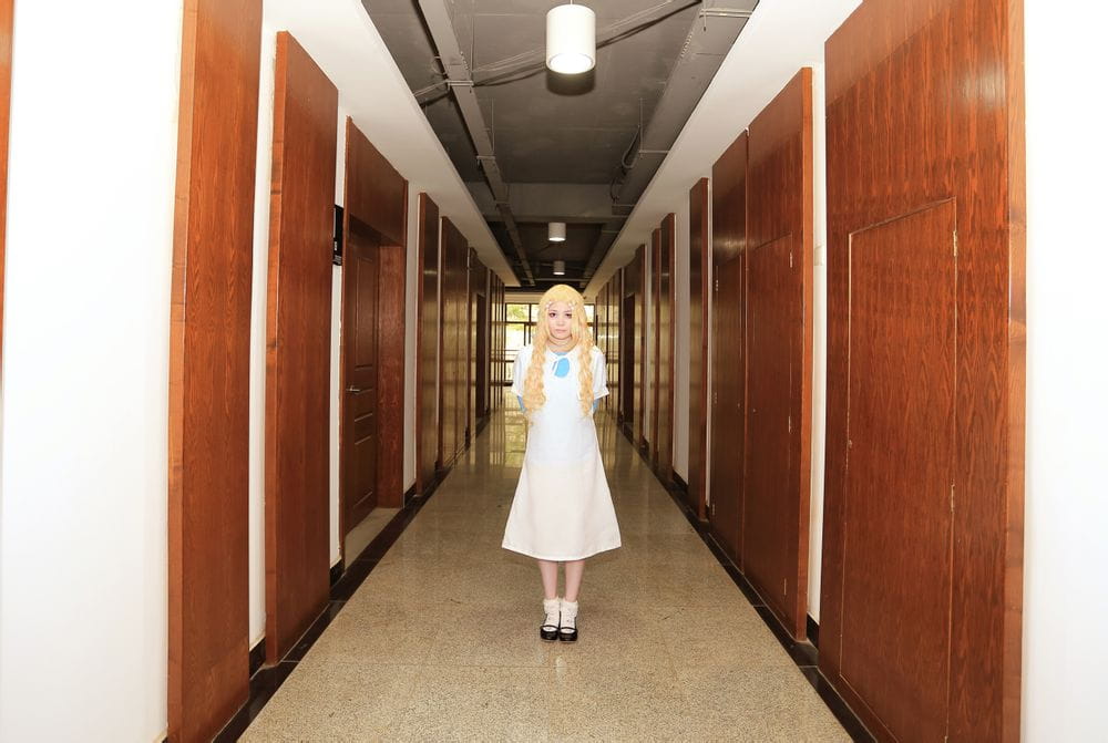 蜂蜜与四叶草 生存意义