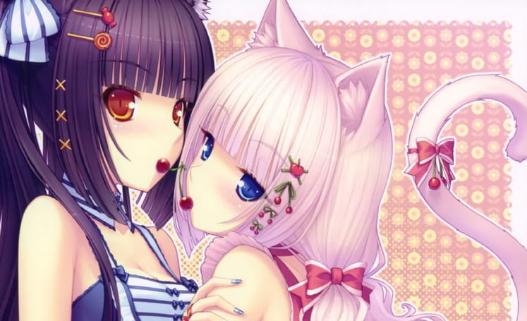 【安卓萌化】巧克力与香子兰 白猫香子兰安卓