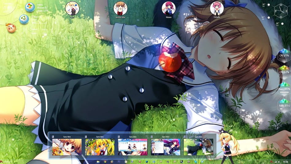 【win7主题】灰色的果实 win7主题