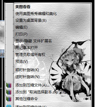 【win7主题】东方project 黑白风 二小姐芙兰朵露
