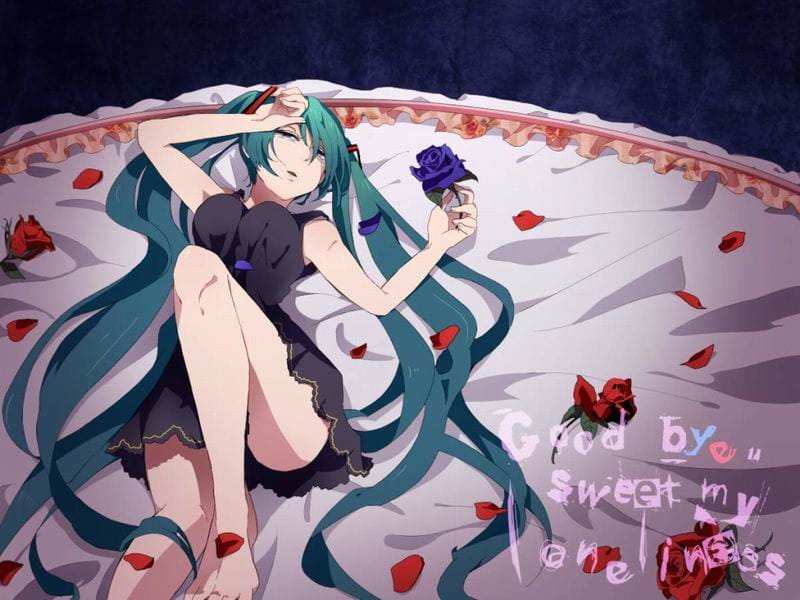 青春年华 桌面壁纸 花一样的少女