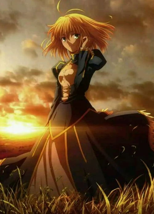 【手机壁纸】Fate霸气吾王